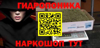 стаф Кунгур