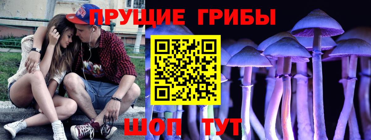 Ижевск  Псилоцибиновые грибы Cubensis  Вход с VPN 